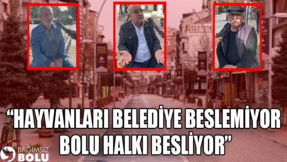 “HAYVANLARI BELEDİYE BESLEMİYOR, BOLU HALKI BESLİYOR”