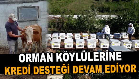 Orman Köylülerine kredi desteği devam ediyor