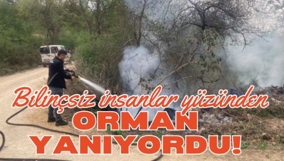 Bolu'da bilinçsiz insanlar yüzünden orman yanıyordu