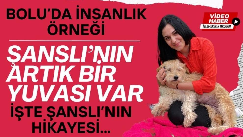 BOLU'DA İNSANLIK ÖRNEĞİ, 'ŞANSLI' YUVALANDI