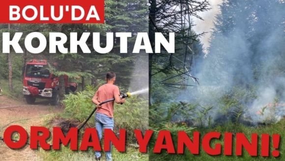 Bolu'da korkutan orman yangını!