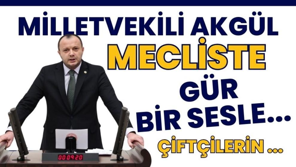 MİLLETVEKİLİ AKGÜL, MECLİSTE GÜR BİR SESLE...