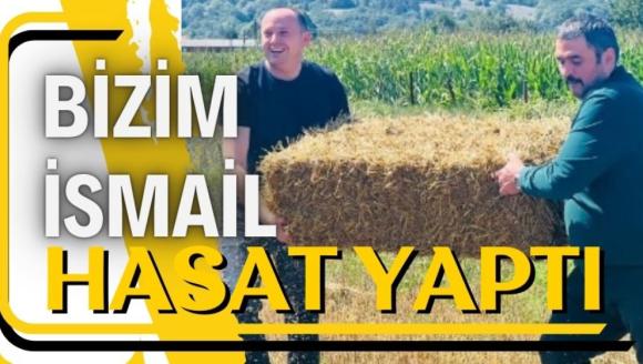 Bizim İsmail hasat yaptı