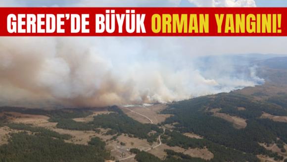 Gerede'de büyük orman yangını!