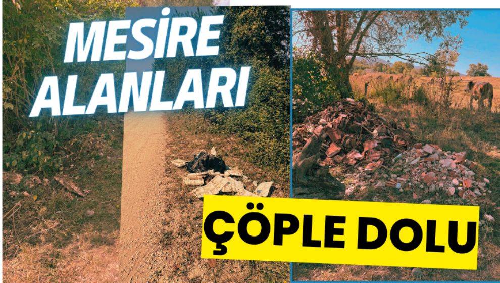 MESİRE ALANLARI ÇÖPLE DOLU