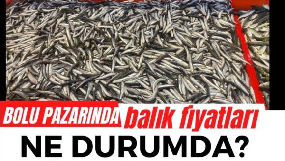 Bolu pazarında balık fiyatları ne durumda? işte cep yakan fiyatlar...