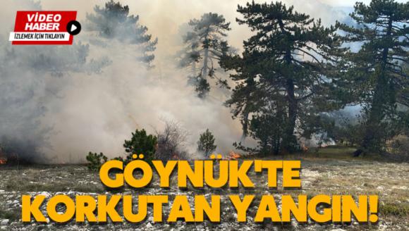 Göynük'te korkutan yangın!