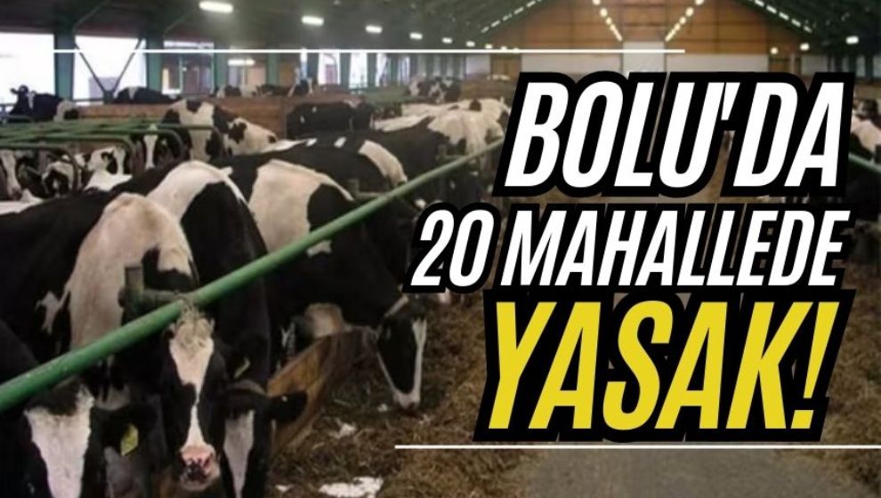 Bolu'da 20 mahallede yasak!