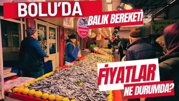 Bolu'da balık bereketi, fiyatlar ne durumda?