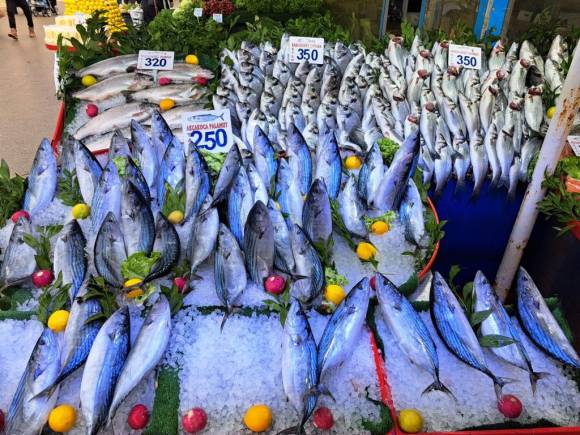 Bolu'da balık bereketi, fiyatlar ne durumda?