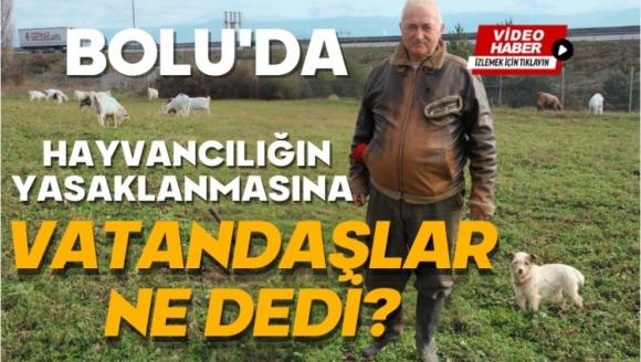 Bolu'da hayvancılığın yasaklanmasına vatandaşlar ne dedi?