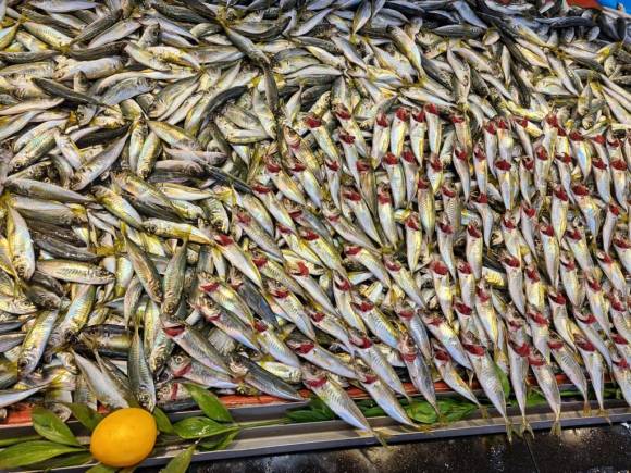 Karadeniz'deki fırtına balık fiyatlarını artırdı