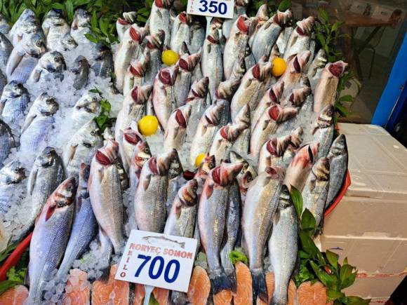 Karadeniz'deki fırtına balık fiyatlarını artırdı