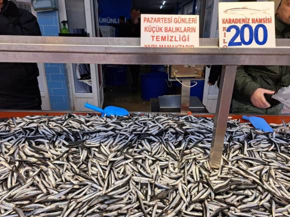 Karadeniz'deki fırtına balık fiyatlarını artırdı