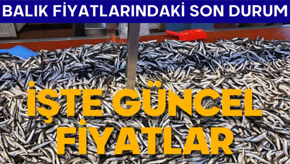 Bu hafta balık fiyatlarındaki son durum! İşte güncel fiyatlar