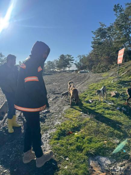 Bolu Belediyesi'nin Mudurnu'ya desteği sürüyor