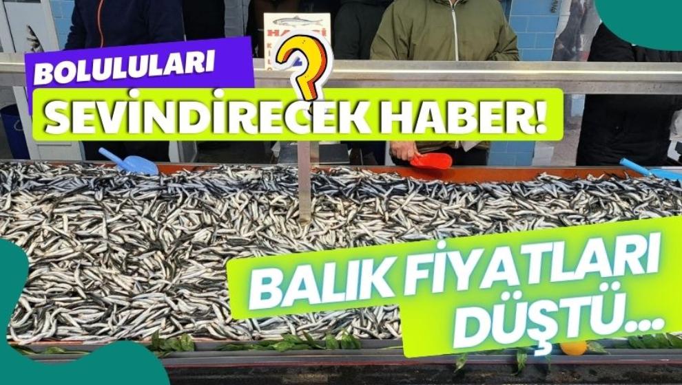 BOLULULARI SEVİNDİRECEK HABER!  BALIK FİYATLARI DÜŞTÜ...