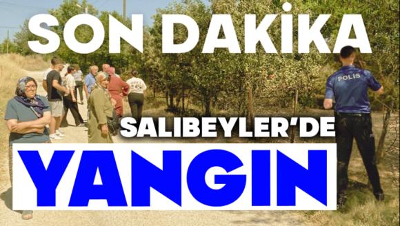 BOLU'DA EVLERİN ARASINDA ANIZ YANGINI