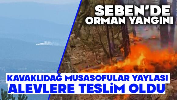 Seben'de orman yangını