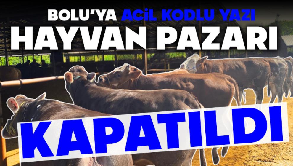 BOLU’YA ACİL KODLU YAZI, HAYVAN PAZARI KAPATILDI