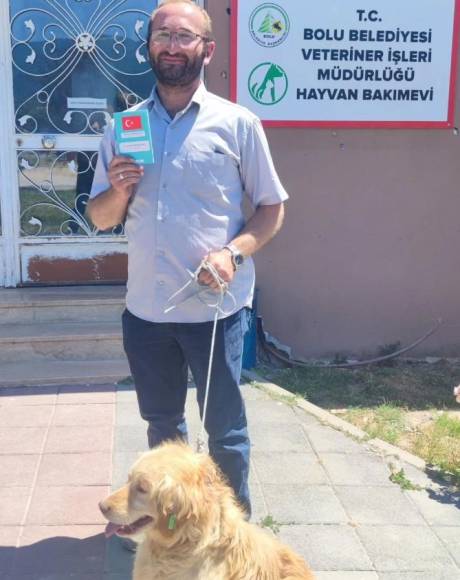 Temmuz Ayında 10 Sokak Hayvanı Yeni Yuvaya Kavuştu