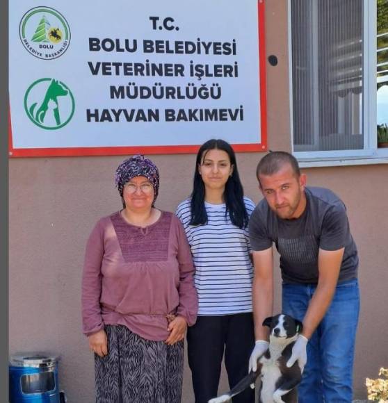 Temmuz Ayında 10 Sokak Hayvanı Yeni Yuvaya Kavuştu