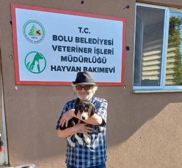 Temmuz Ayında 10 Sokak Hayvanı Yeni Yuvaya Kavuştu