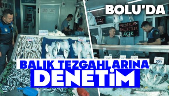 Bolu'da Balık Tezgâhlarına Denetim