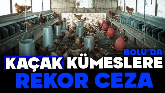 Bolu'da Kaçak Kümeslere Rekor Ceza