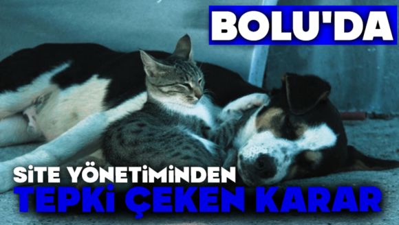Bolu'da site yönetiminden tepki çeken karar
