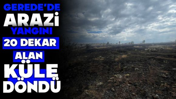 Gerede'de Arazi Yangını, 20 Dekar Alan Kül Oldu