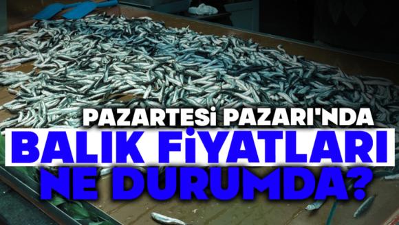 Pazartesi Pazarı'nda Balık Fiyatları Ne Durumda?