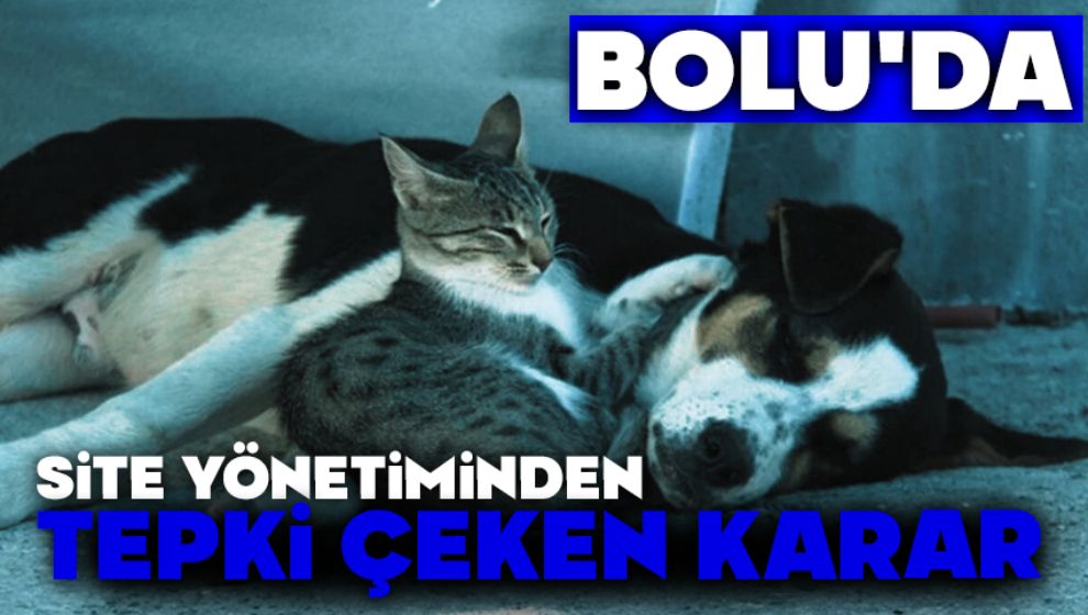 Bolu'da site yönetiminden tepki çeken karar