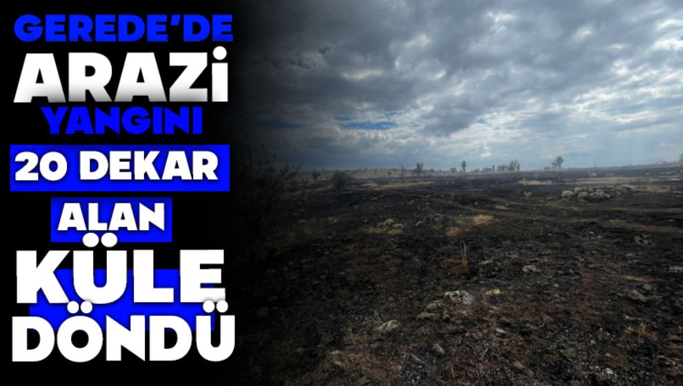 Gerede'de Arazi Yangını, 20 Dekar Alan Kül Oldu