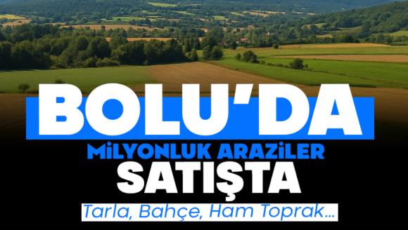 Bolu'da Milyonluk Araziler Satışta!  Tarla, Bahçe, Ham Toprak…