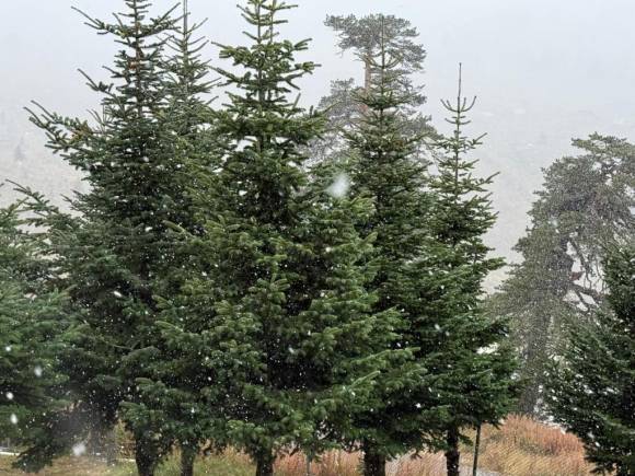 Bolu'da yılın ilk karı yüksek kesimlere düştü