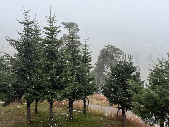 Bolu'da yılın ilk karı yüksek kesimlere düştü