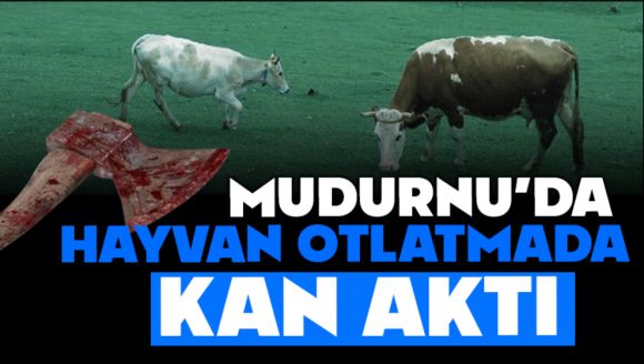 Mudurnu'da hayvan otlatmada kan aktı