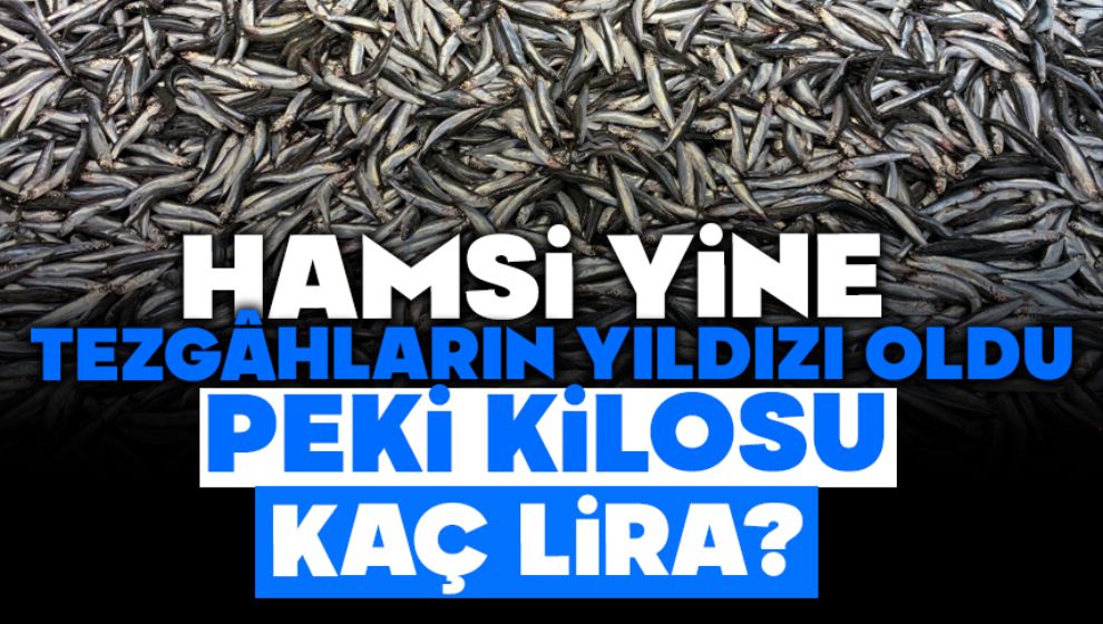 Hamsi Yine Tezgâhların Yıldızı Oldu,  PEKİ KİLOSU KAÇ LİRA?