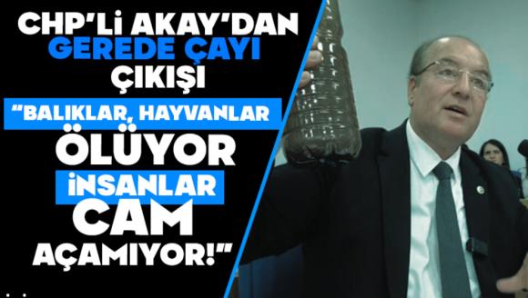 Chp'li Akay'dan Gerede Çayı Çıkışı “Balıklar, Hayvanlar Ölüyor, İnsanlar Cam Açamıyor!”