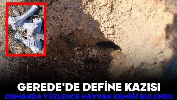 GEREDE'DE DEFİNE KAZISI! ORMANDA YÜZLERCE HAYVAN KEMİĞİ BULUNDU
