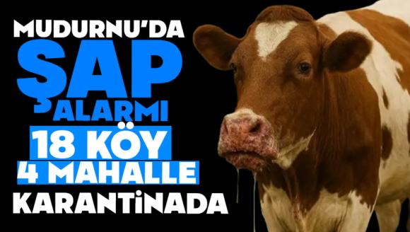 Mudurnu'da şap alarmı: 18 köy, 4 mahalle karantinada!