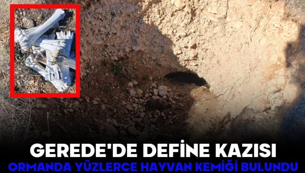 GEREDE'DE DEFİNE KAZISI! ORMANDA YÜZLERCE HAYVAN KEMİĞİ BULUNDU