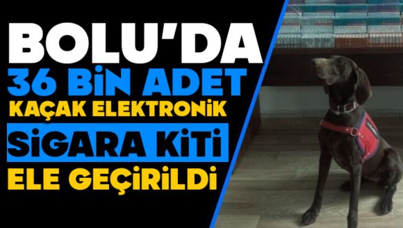 Bolu'da 36 Bin Adet Kaçak Elektronik Sigara Kiti Ele Geçirildi