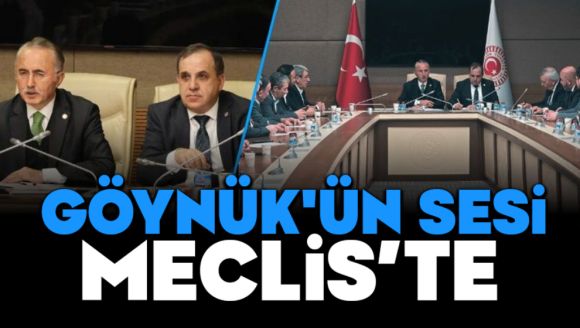 Göynük'ün Sesi Meclis'te