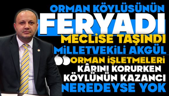 Orman Köylüsünün feryadı, Meclise taşındı