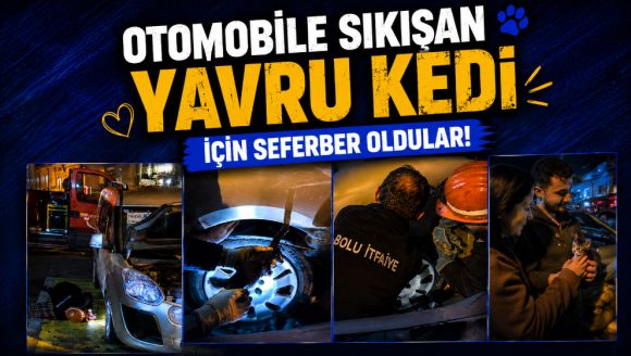 Otomobile Sıkışan Yavru Kedi İçin Seferber Oldular
