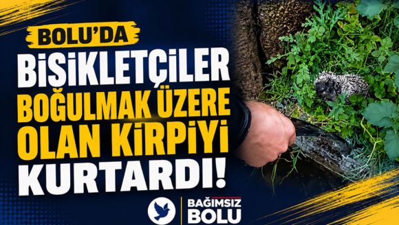 Bolu'da bisikletçiler boğulmak üzere olan kirpiyi kurtardı