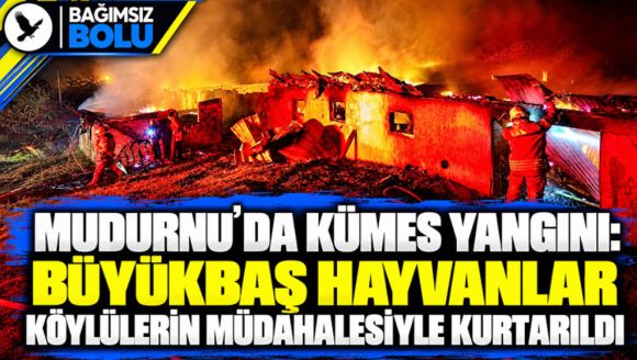 Mudurnu'da Kümes Yangını: Büyükbaş Hayvanlar Köylülerin Müdahalesiyle Kurtarıldı