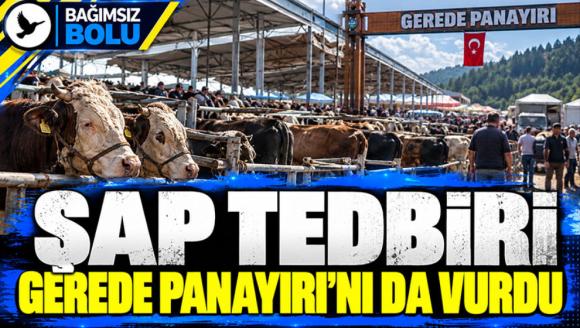 Şap Tedbiri Gerede Panayırı'nı Da Vurdu